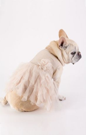 Dotted Glitter Lace Top and Tulle Skirt Set David's Bridal