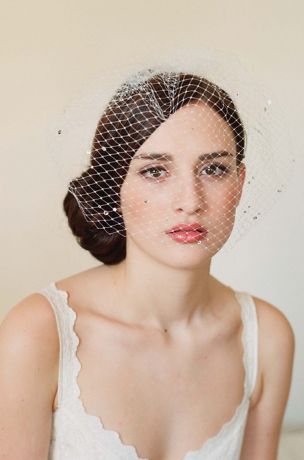 david's bridal birdcage veil