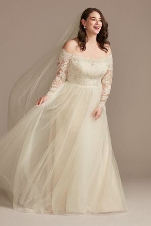 Beach Wedding Dresses Long Sleeve Lace Applique A-line Bridal Gowns Plus Size 