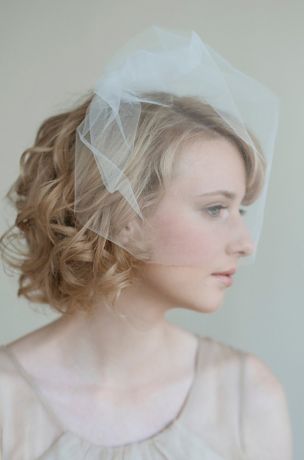 Tulle Birdcage Veil David's Bridal