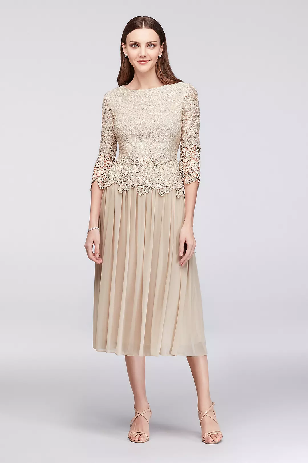 Webbed Lace and Mesh Tea-Length Dress Image