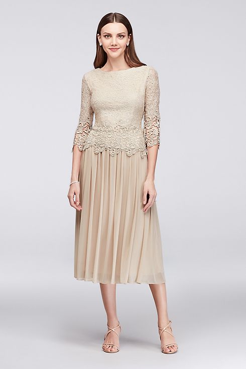 Webbed Lace and Mesh Tea-Length Dress Image