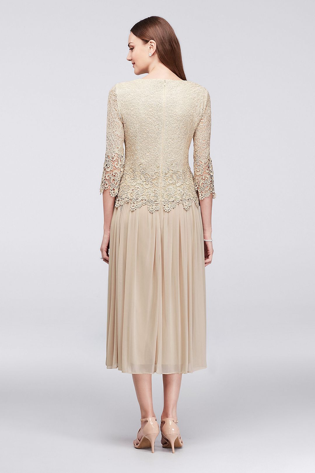 Webbed Lace and Mesh Tea-Length Dress Image 4
