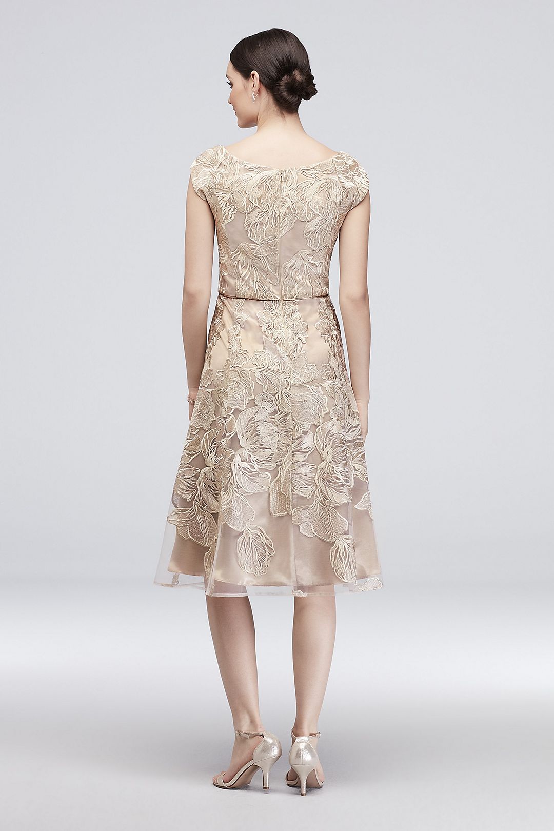 Floral Embroidered Short Cap Sleeve A-Line Dress Image 2