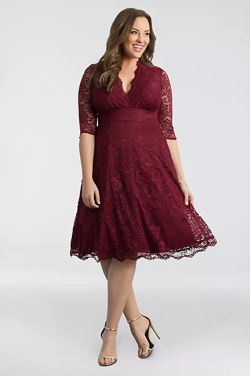 3/4 Sleeved Soft A-Line Lace Plus Size Dress Image 1