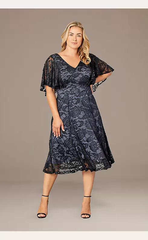Plus Size Camille Lace A-Line Dress Image 1