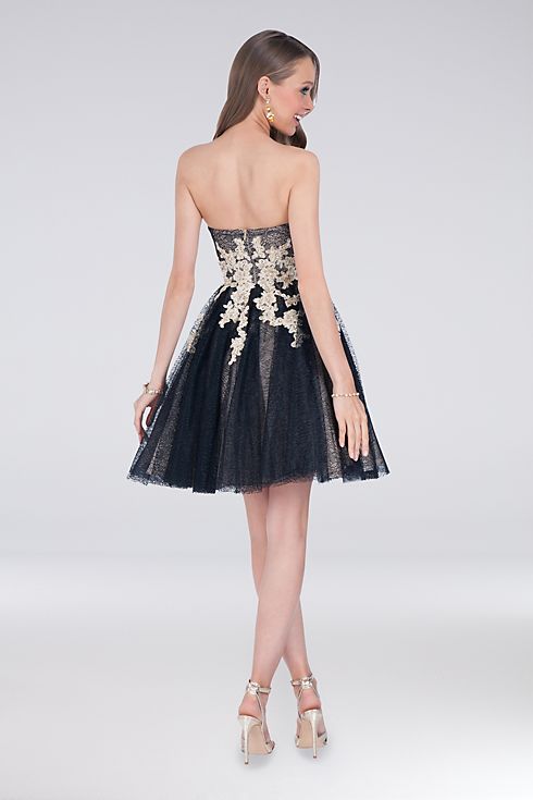 Appliqued Tulle Short Fit-and-Flare Dress Image 2