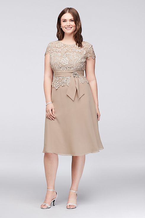 Brooch Waist Lace and Chiffon Plus Size Dress  Image