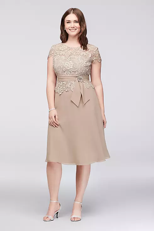 Brooch Waist Lace and Chiffon Plus Size Dress  Image 1