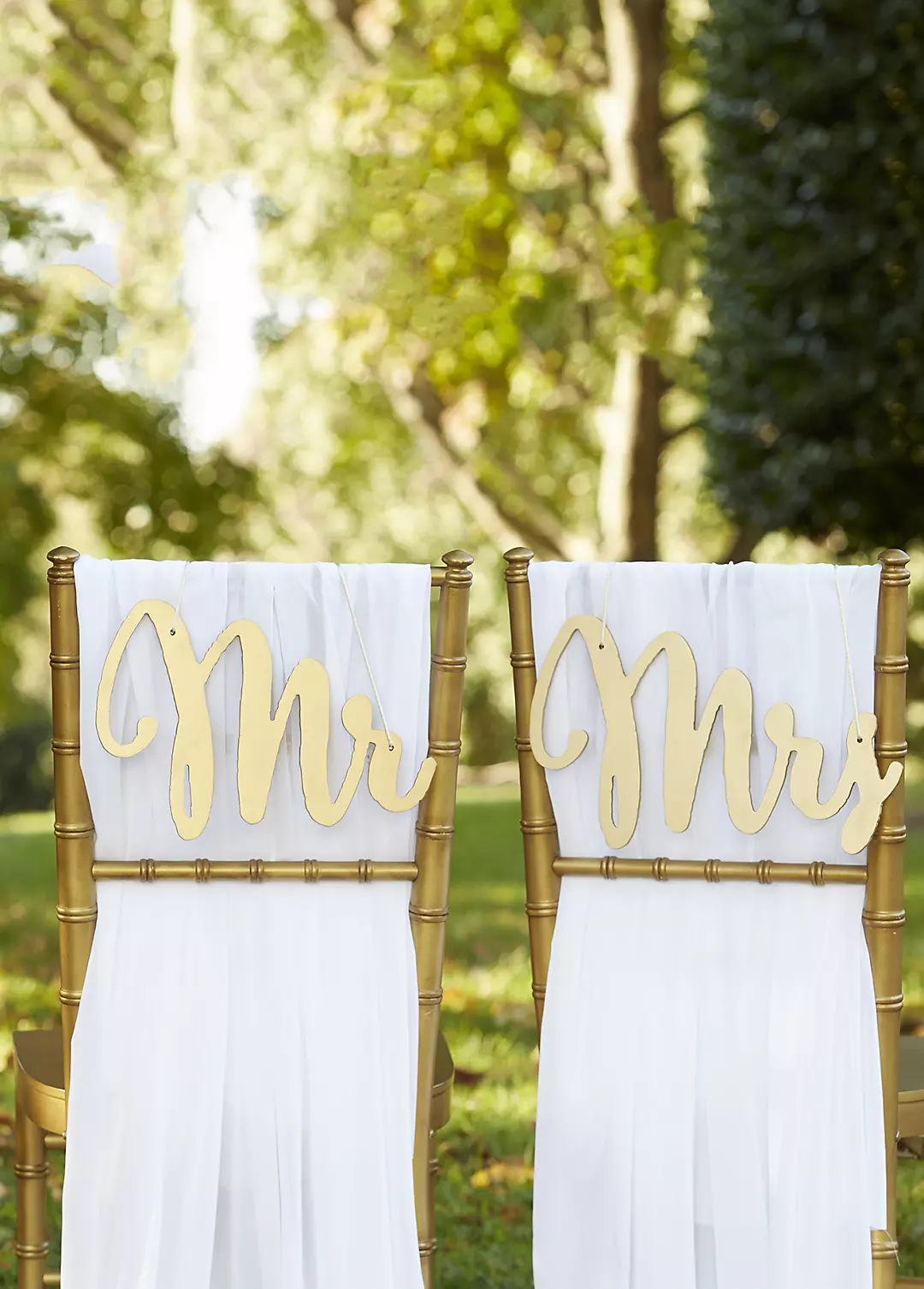 Gold Promises Classic Mr and Mrs Chair Signs Image