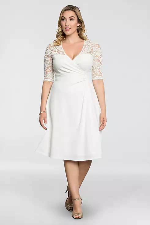 Lavish Lace Plus Size Dress Image 1