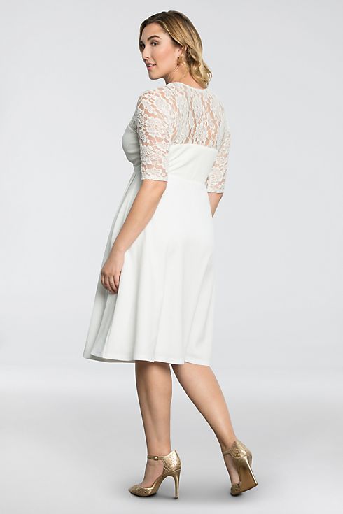 Lavish Lace Plus Size Dress Image 3