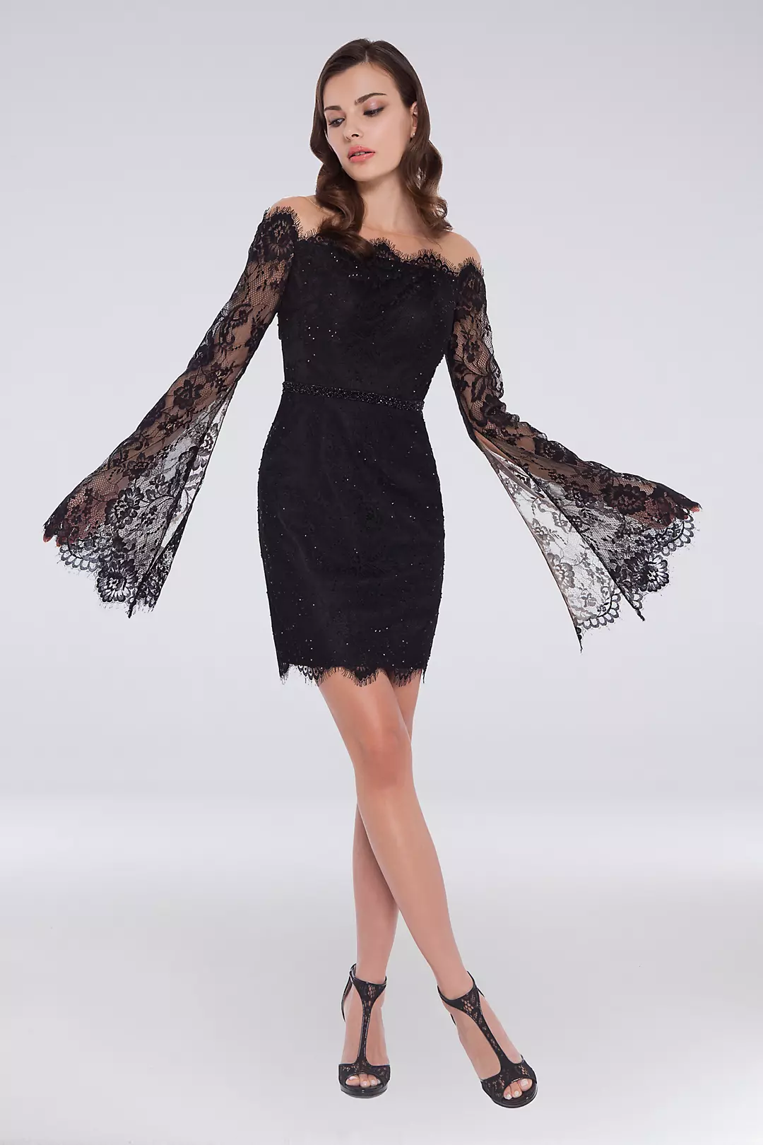 Open Back Lace Dress with Sheer Bell Sleeves Image
