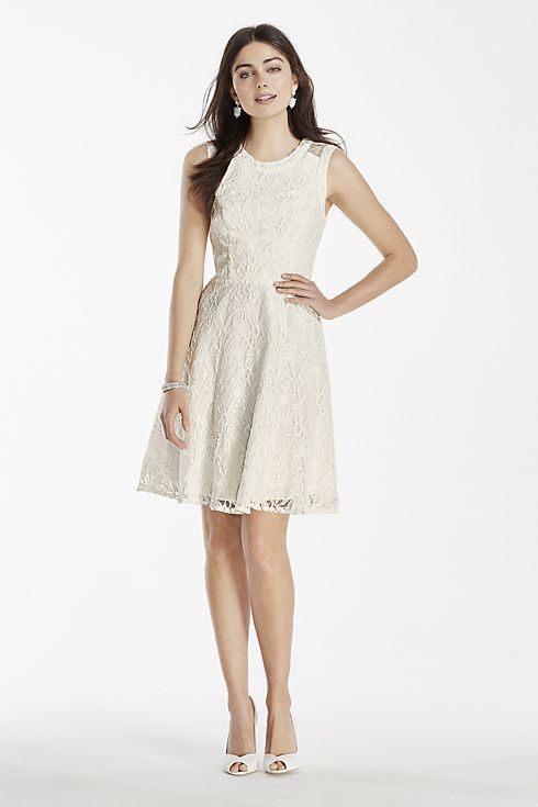 Short Lace Dress with Illusion Back Detail Image 1
