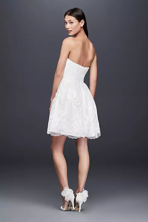 Embroidered Tulle Fit-and-Flare Short Dress Image 2