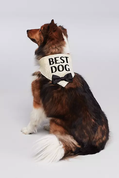 Best Dog Bow Tie Bandana Image 2