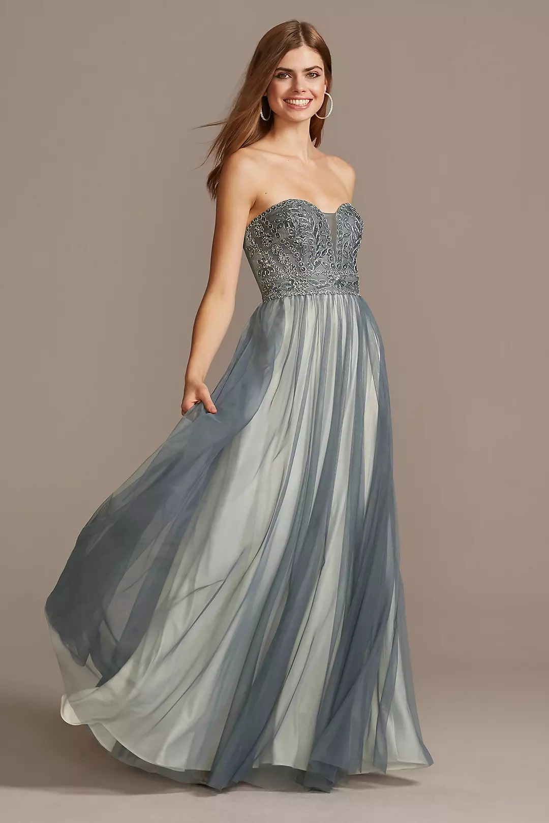 Corded Lace Embellished Plunge Bodice Tulle Gown Image