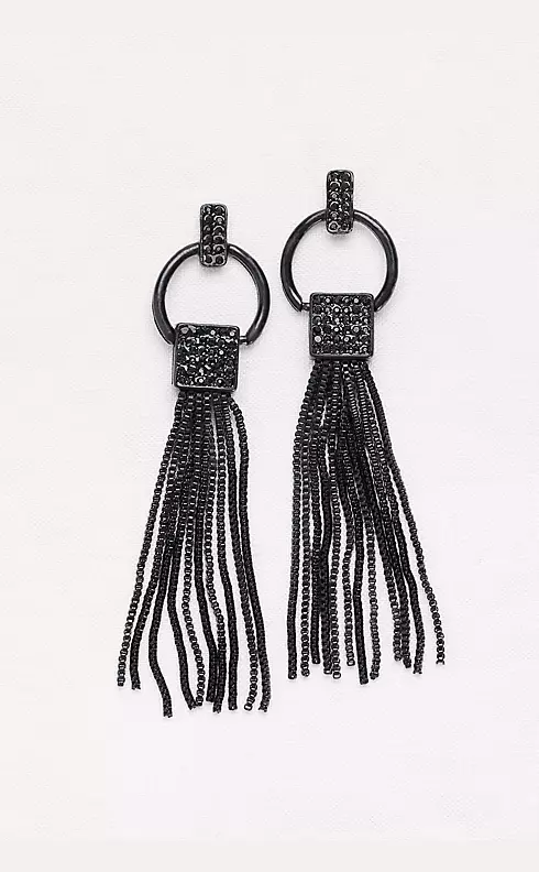 Chain Fringe Earrings Image 1