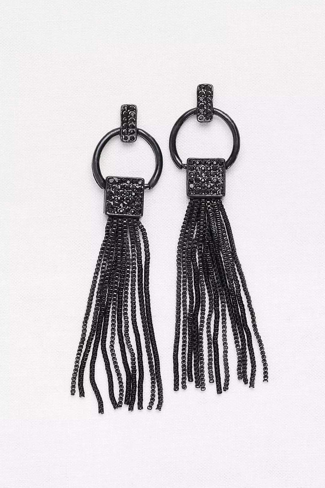 Chain Fringe Earrings Image