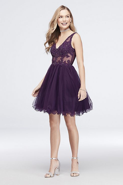 Embroidered Sheer Fit-and-Flare Dress with V-Back Image