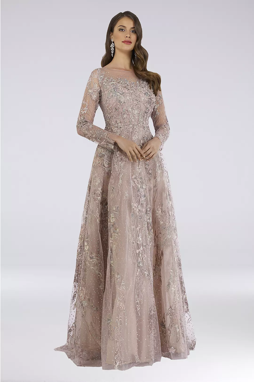 Illusion Long-Sleeve Embroidered Applique Gown Image