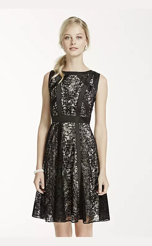 Sleeveless Contoured Lace Fit and Flare Dress Image 4