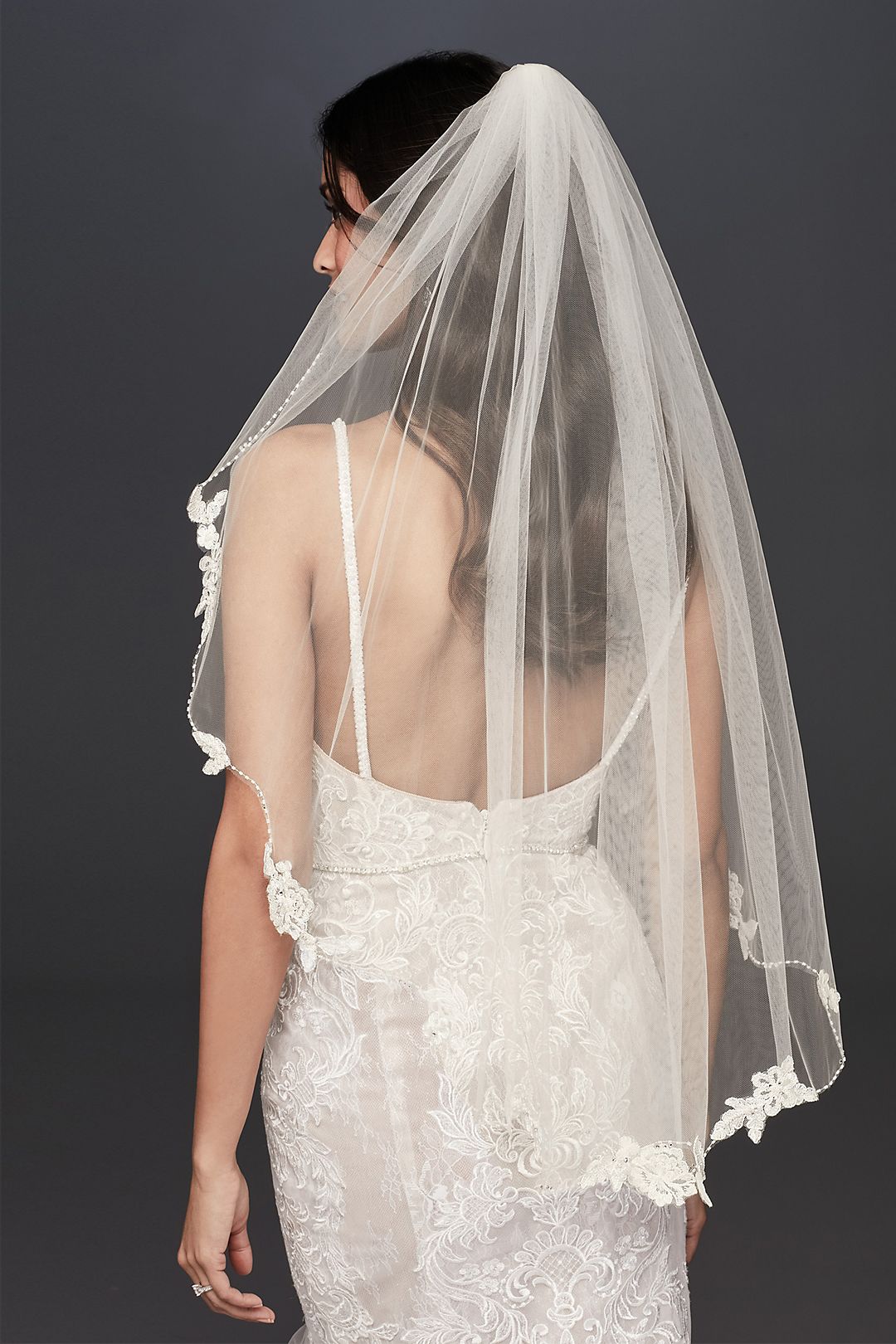 Floral Lace and Crystal Trimmed Elbow Length Veil Image