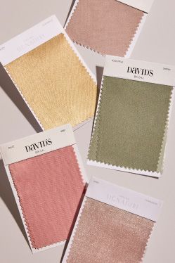 collection of david's bridal swatches