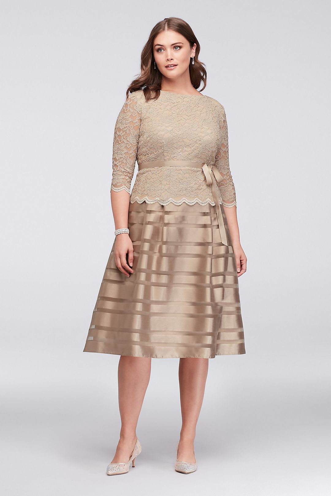 Lace and Striped Organza Plus Size Midi Dress Image 1