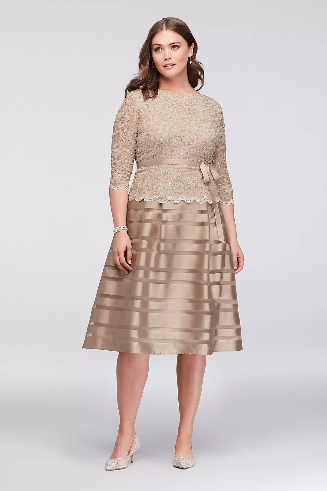 Lace and Striped Organza Plus Size Midi Dress Image