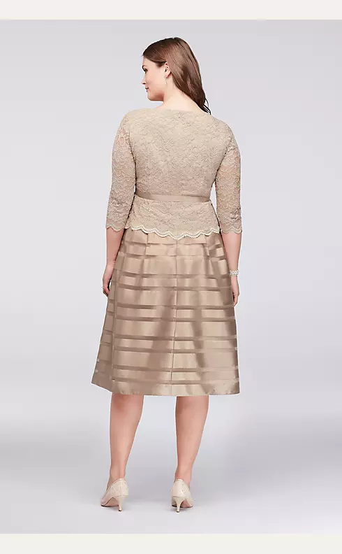 Lace and Striped Organza Plus Size Midi Dress Image 2
