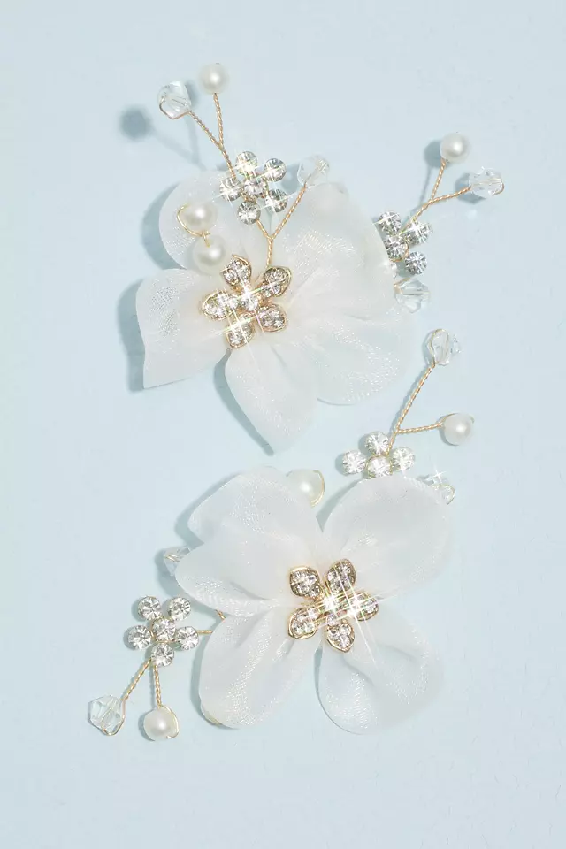 Chiffon Flowers with Crystals Shoe Clips Image