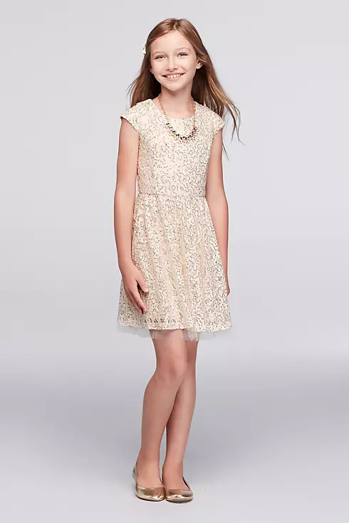 Sequined Lace Party Dress with Jeweled Necklace Image 1
