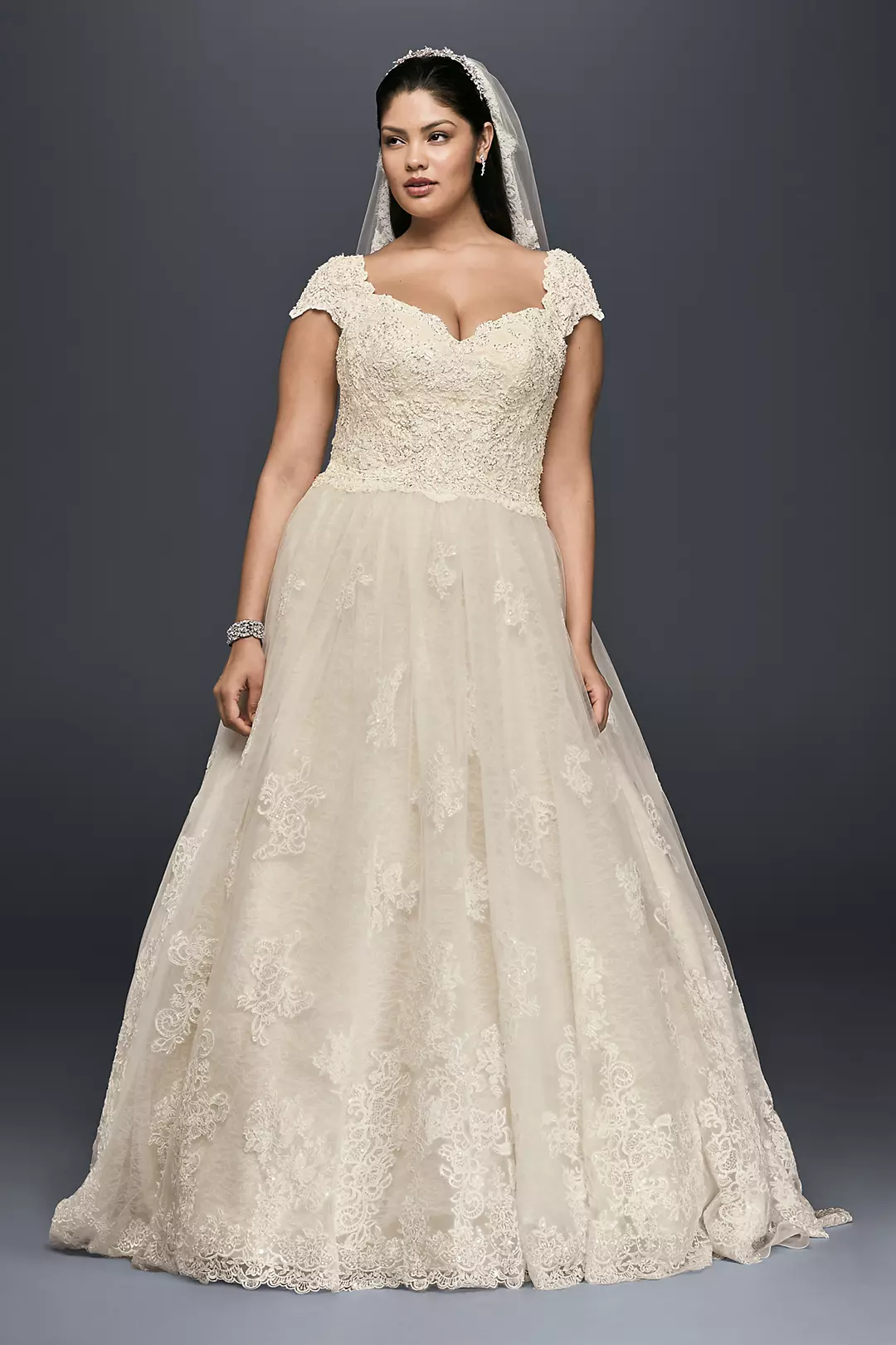 As-Is Cap Sleeve Lace Plus Size Ball Gown Image