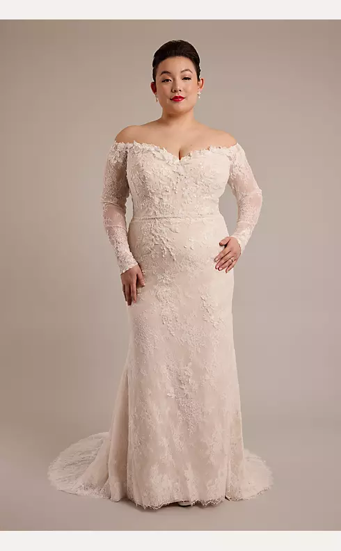 Long Sleeve Lace Mermaid Wedding Dress Image 1