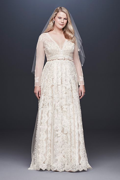 As-Is Linear Lace Plus Size Wedding Dress Image