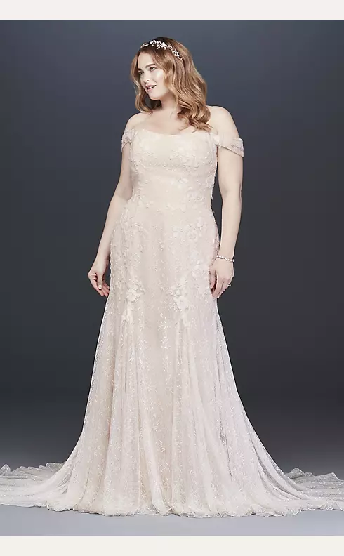 Swag Sleeve Layered Lace Wedding Dress Image 1