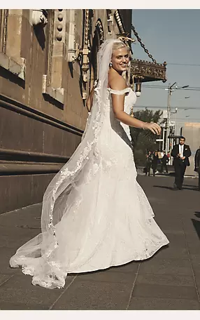 As-Is Swag Sleeve Layered Plus Size Wedding Dress Image 4