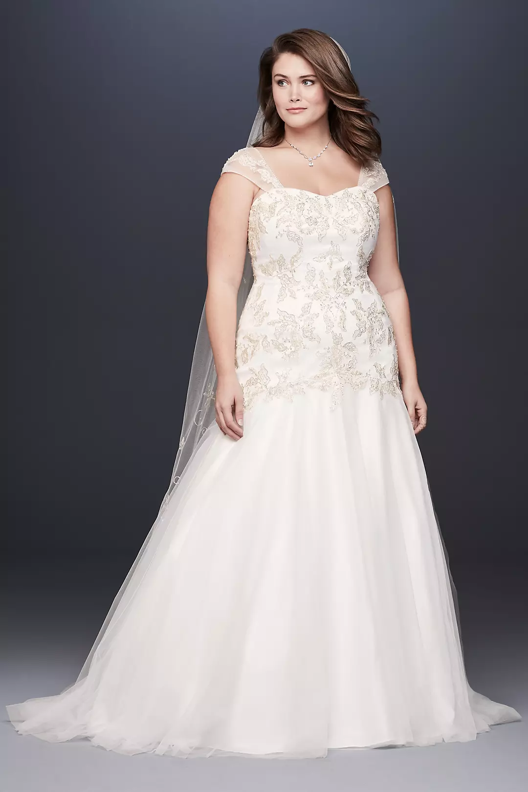 Metallic Lace Applique Plus Size Wedding Dress Image