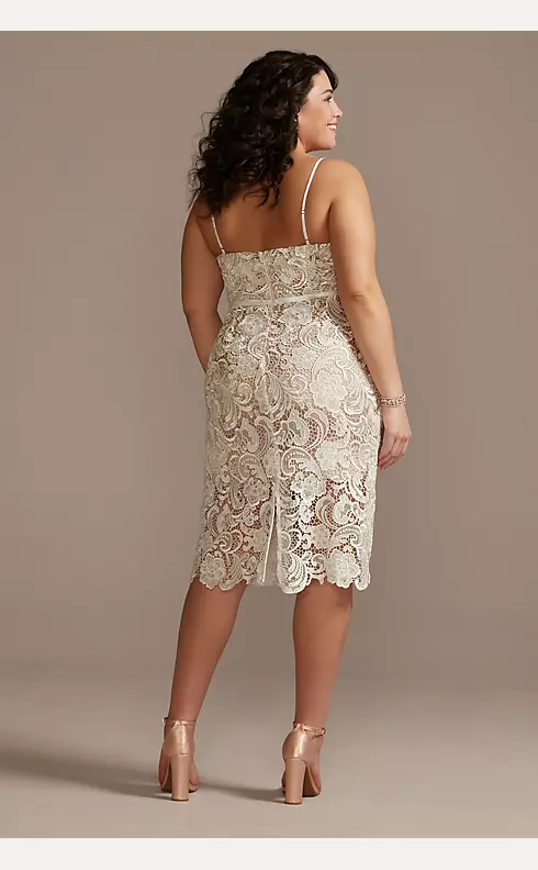 Lace Dresses, Dresses in Lace or Crochet