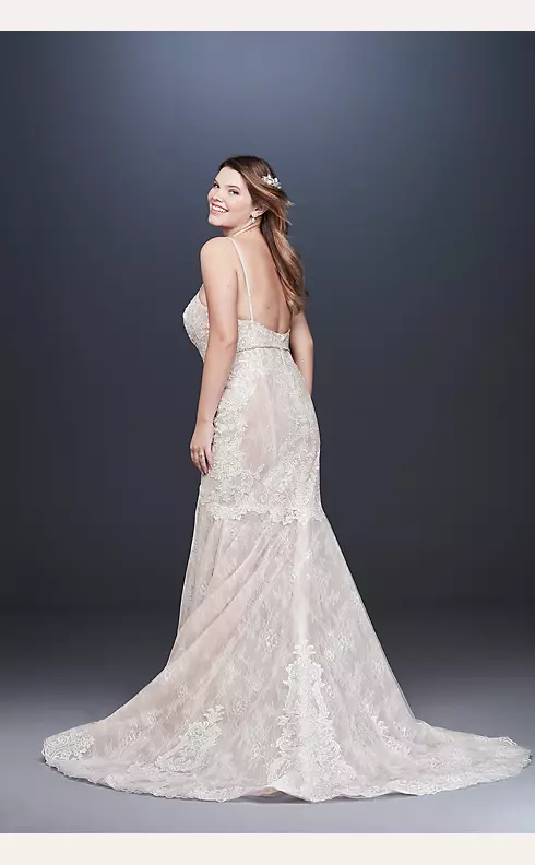 As Is Embellished Plus Size Lace Wedding Dress Image 2