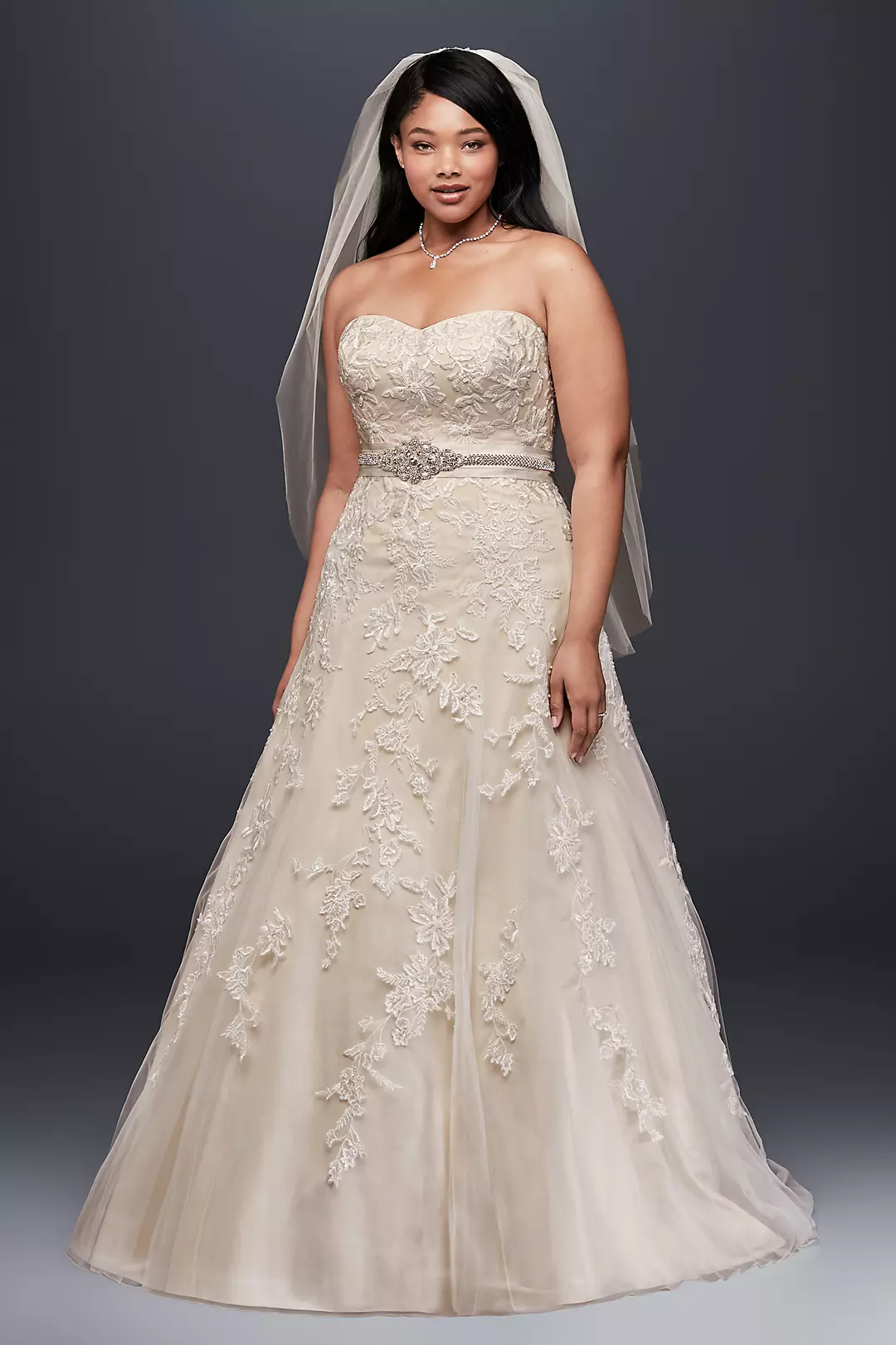 As-Is A Line Plus Size Wedding Dress with Lace Image 1