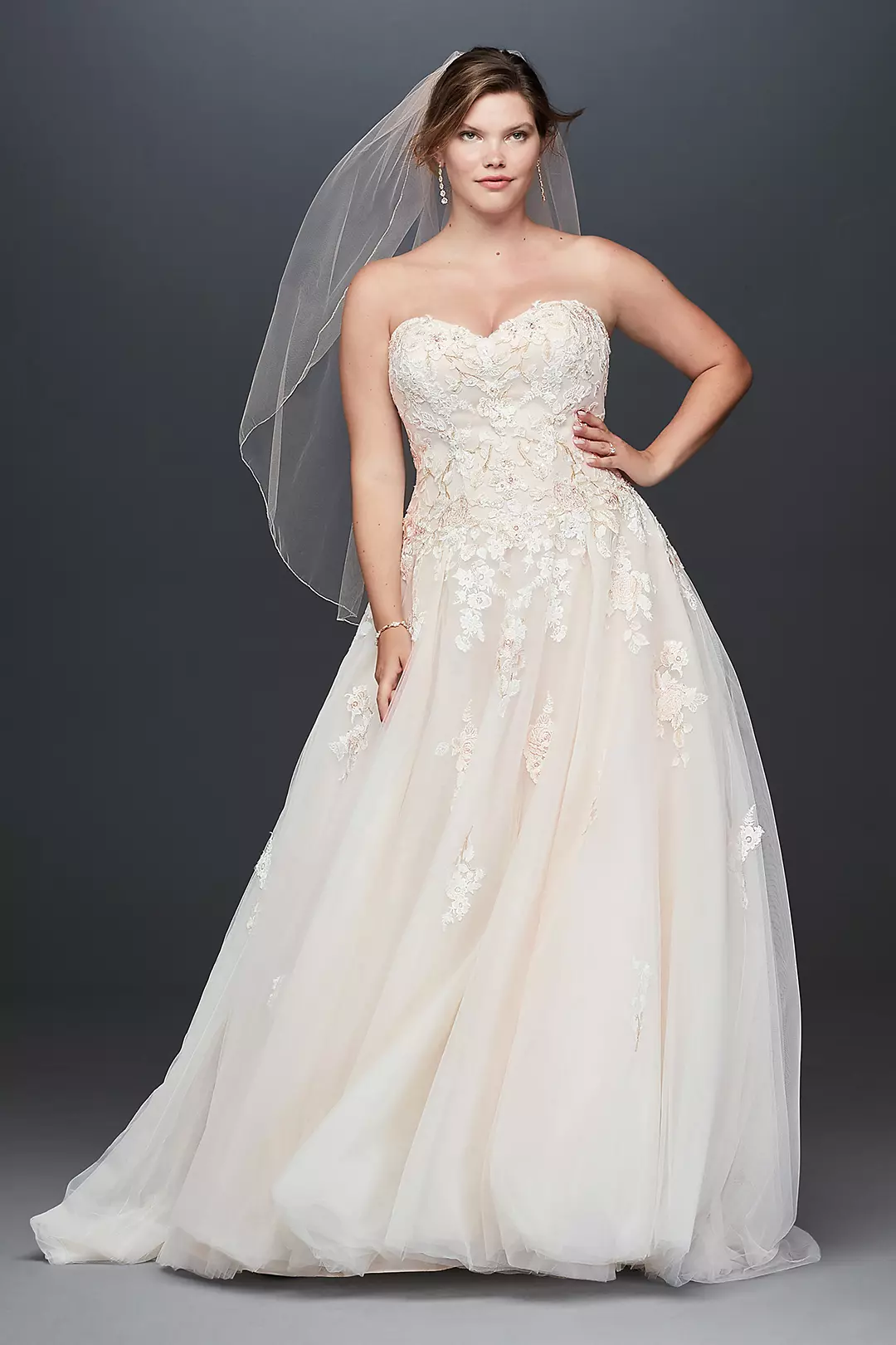 As Is Lace Applique Plus Size Wedding Dress Image