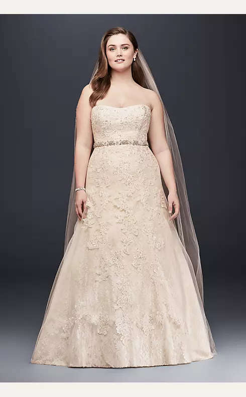 As-Is Lace A-Line Beaded Plus Size Wedding Dress Image 1