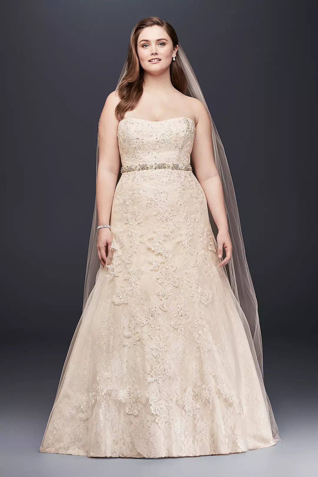 As-Is Lace A-Line Beaded Plus Size Wedding Dress Image