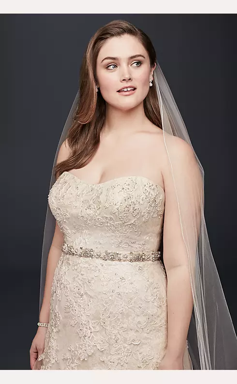 As-Is Lace A-Line Beaded Plus Size Wedding Dress Image 3