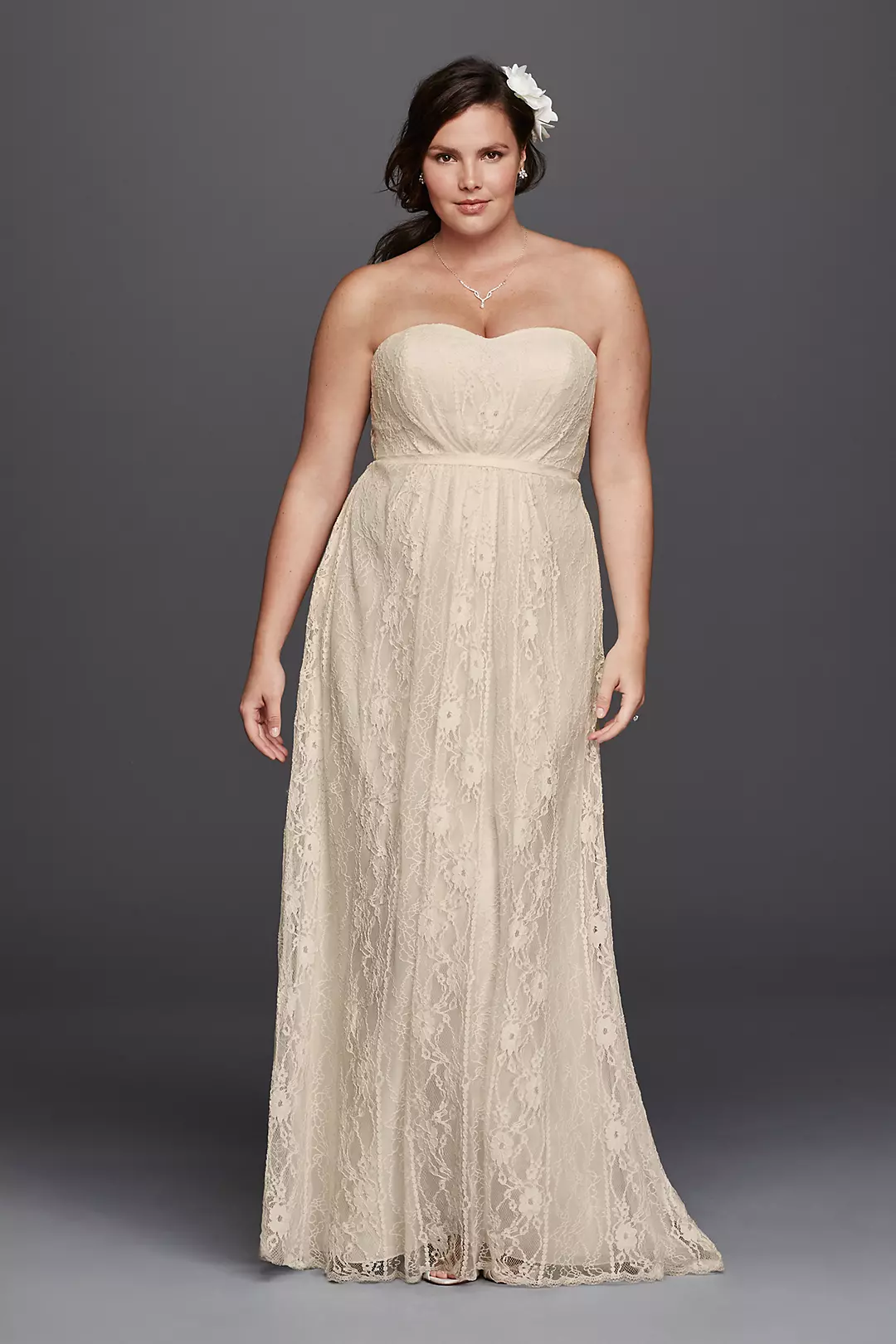 As-Is Linear Lace Overlay Plus Size Wedding Dress Image