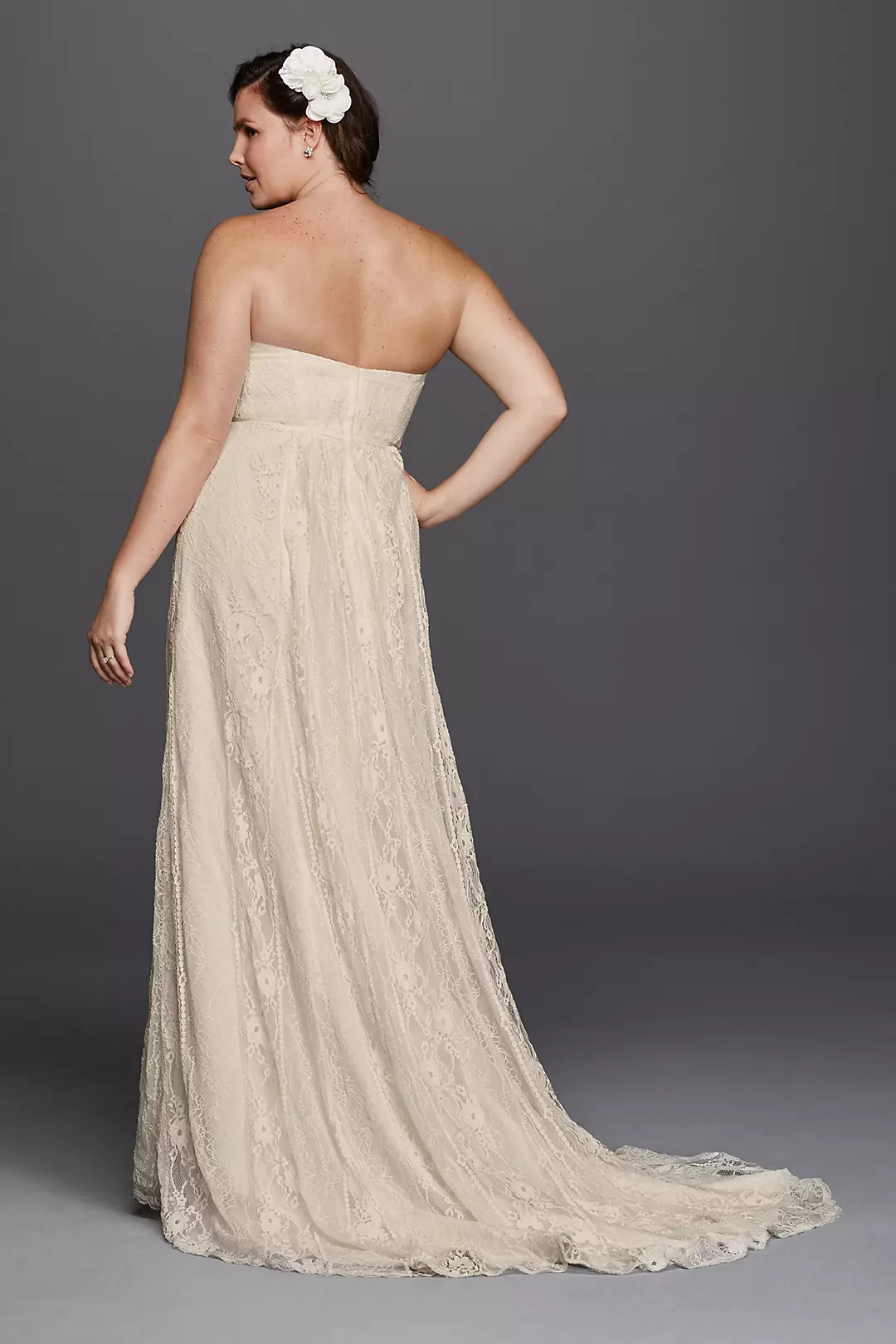 As-Is Linear Lace Overlay Plus Size Wedding Dress Image 2