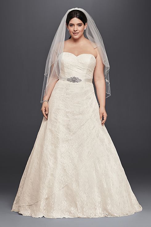 As-Is Allover Lace Plus Size A-Line Wedding Dress Image