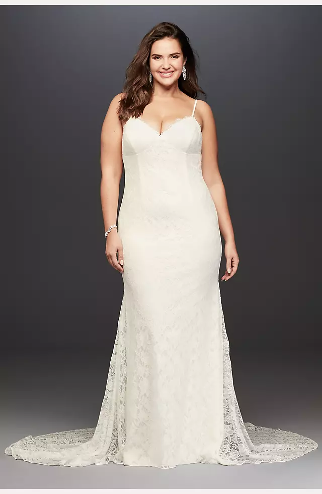 Low- Back Soft Lace Wedding Dress Image